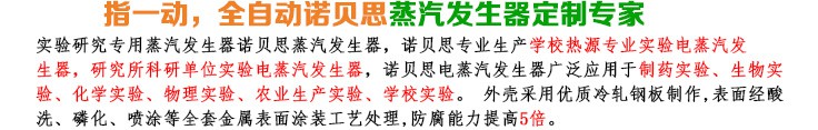 12-24KW實(shí)驗(yàn)研究小型蒸汽發(fā)生器簡(jiǎn)介